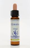 Imagem de HEALING CERATO 10 ML