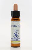 Imagem de HEALING CHERRY PLUM 10 ML