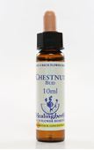 Imagem de HEALING CHESTNUT BUD 10ML