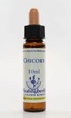 Imagem de HEALING CHICORY 10ML
