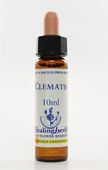 Imagem de HEALING CLEMATIS 10ML