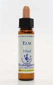 Imagem de HEALING ELM 10ML