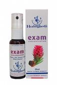 Imagem de HEALING EXAM SPRAY 25ML