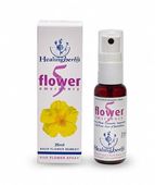 Imagem de HEALING FIVER FLOWER SPRAY 25ML