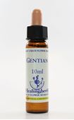 Imagem de HEALING GENTIAN 10ML