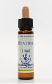 Imagem de HEALING HEATHER 10ML