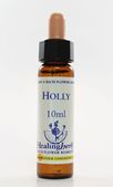 Imagem de HEALING HOLLY 10ML