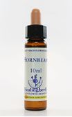 Imagem de HEALING HORNBEAM 10ML