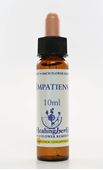 Imagem de HEALING IMPATIENS 10ML