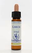 Imagem de HEALING LARCH 10ML