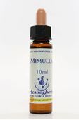 Imagem de HEALING MIMULUS 10ML