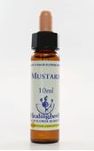 Imagem de HEALING MUSTARD 10ML