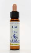 Imagem de HEALING OAK 10ML