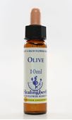 Imagem de HEALING OLIVE 10ML