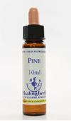 Imagem de HEALING PINE 10ML