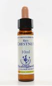 Imagem de HEALING RED CHESTNUT 10ML