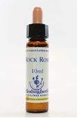 Imagem de HEALING ROCK ROSE 10ML