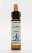 Imagem de HEALING SCLERANTHUS 10ML