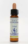 Imagem de HEALING STAR OF BETHLEHEM 10ML