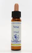 Imagem de HEALING VINE 10ML