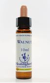 Imagem de HEALING WALNUT 10ML