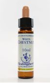 Imagem de HEALING WHITE CHESTNUT 10ML