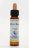 Imagem de HEALING WILD ROSE 10ML